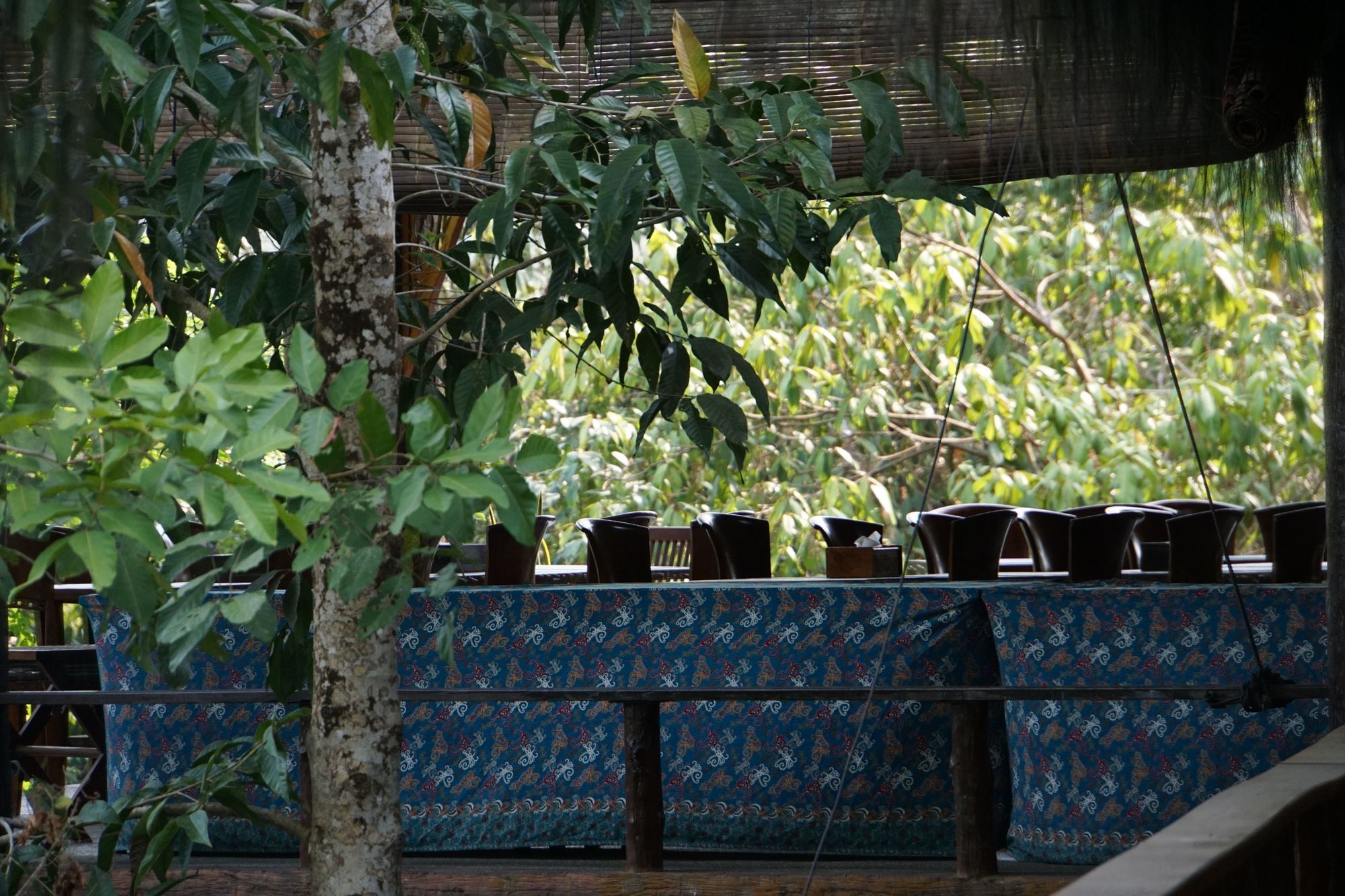 Samboja Lodge Баликпапан Екстериор снимка