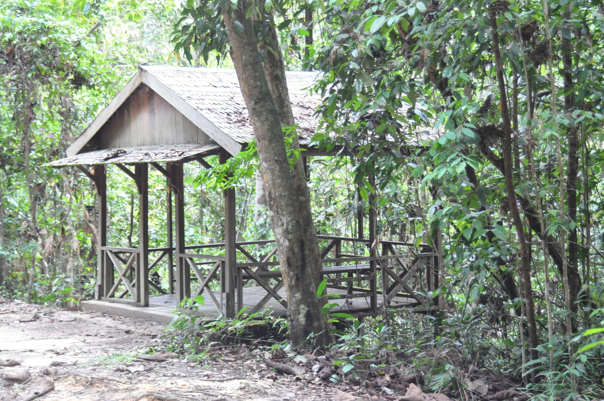 Samboja Lodge Баликпапан Екстериор снимка